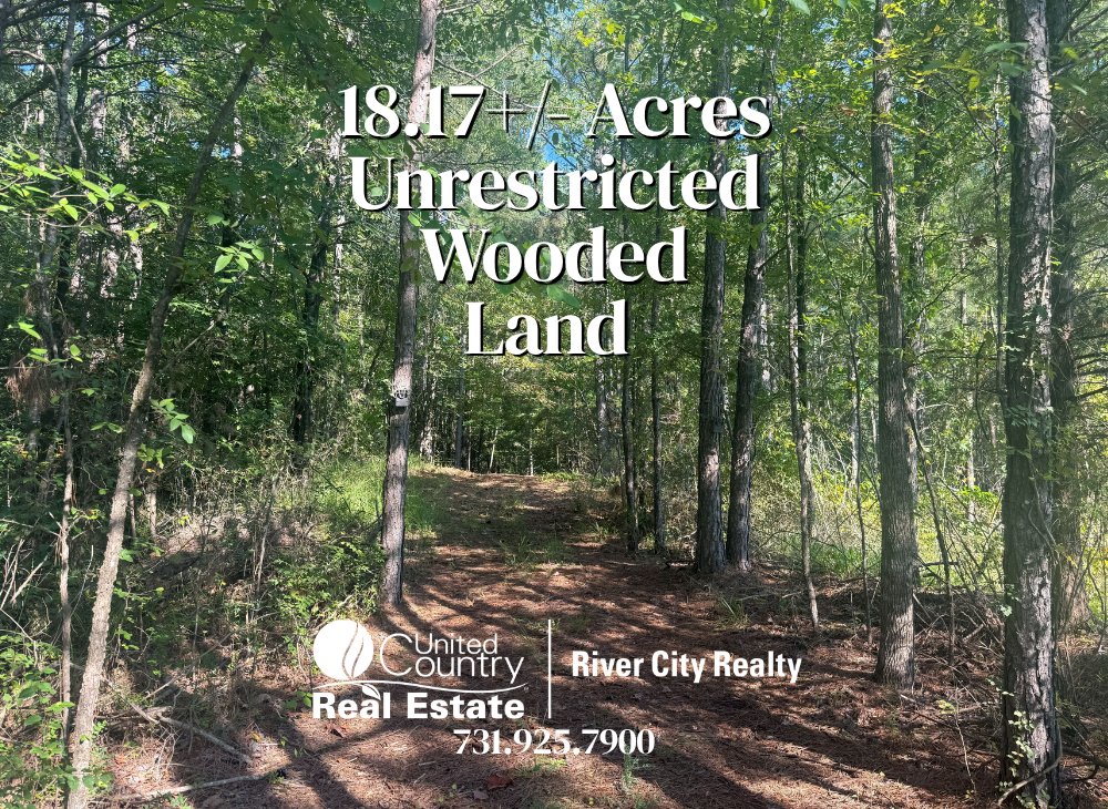 RiverCityRealty's tweet photo. New Listing Alert! 📷📷Looking for acreage with no restrictions to build a home on that is close to amenities and recreational activities? Look no further! 
📷 For more info call UC River City Realty at 731-925-7900
📷Preacher Dr. Counce, TN
📷 $79,999 https://t.co/HzemWBGkwn