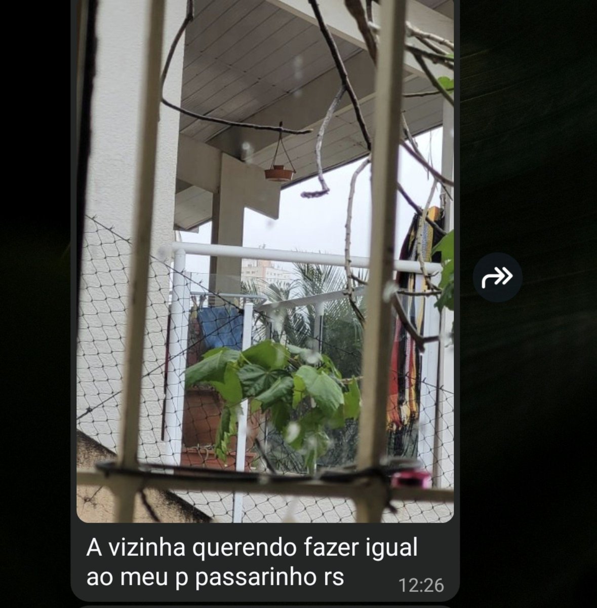 souocaco's tweet photo. Ri tanto com minha mãe falando, que se os passarinhos forem comer na vizinha, ela não coloca mais comidas pra eles em casa 🗣🗣🗣 https://t.co/du1yNBMVd4