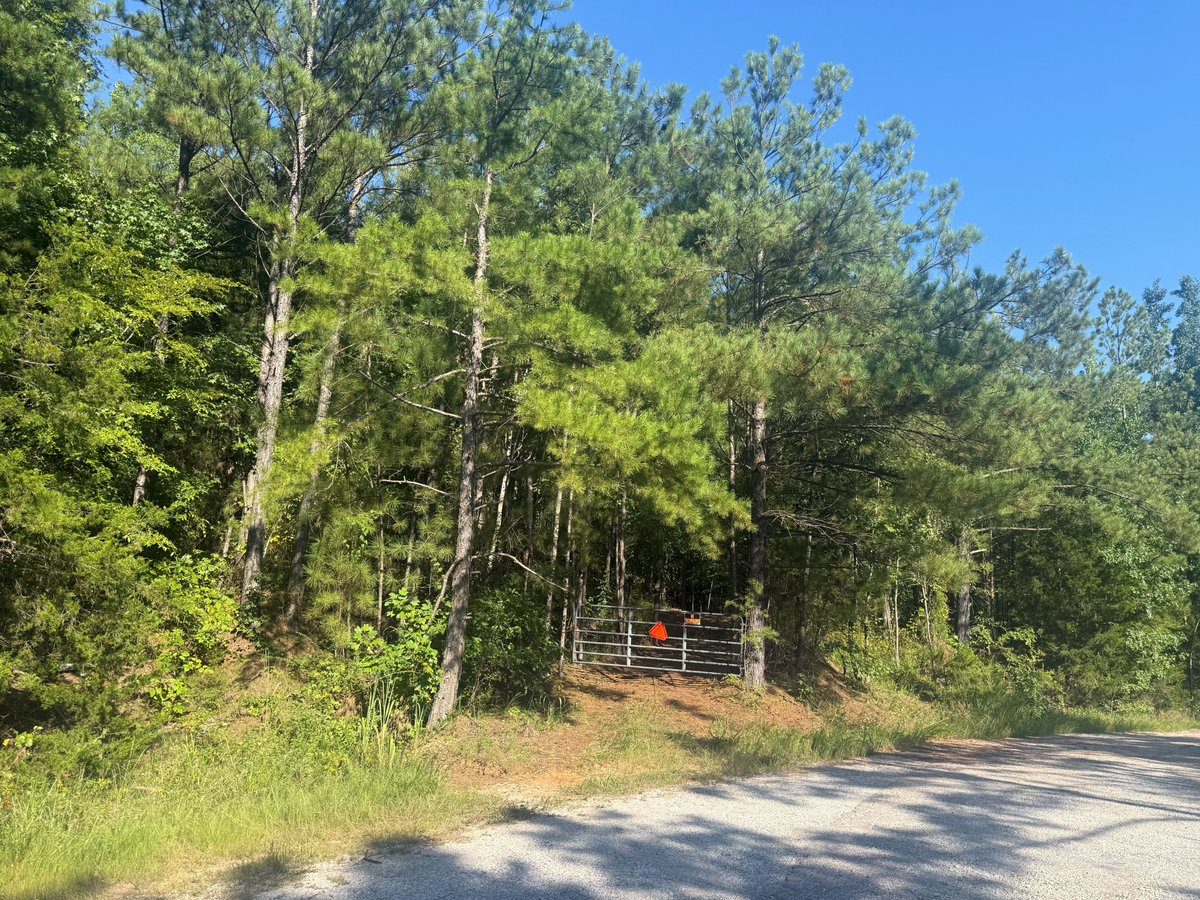 RiverCityRealty's tweet photo. New Listing Alert! 📷📷Looking for acreage with no restrictions to build a home on that is close to amenities and recreational activities? Look no further! 
📷 For more info call UC River City Realty at 731-925-7900
📷Preacher Dr. Counce, TN
📷 $79,999 https://t.co/HzemWBGkwn