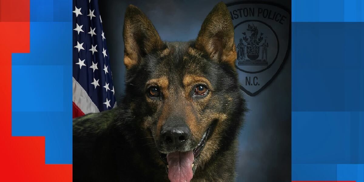 ppak9org's tweet photo. Congratulations to K9 Nero of the Kinston Police Department, NC. Retired after 7+ years of service alongside Sgt. Lucas Miller and Officer Candace Wilkins. Enjoy the rest, Nero! 🐾 #PPAK9 #K9 #K9Retirement https://t.co/KjKxqQzTHm
