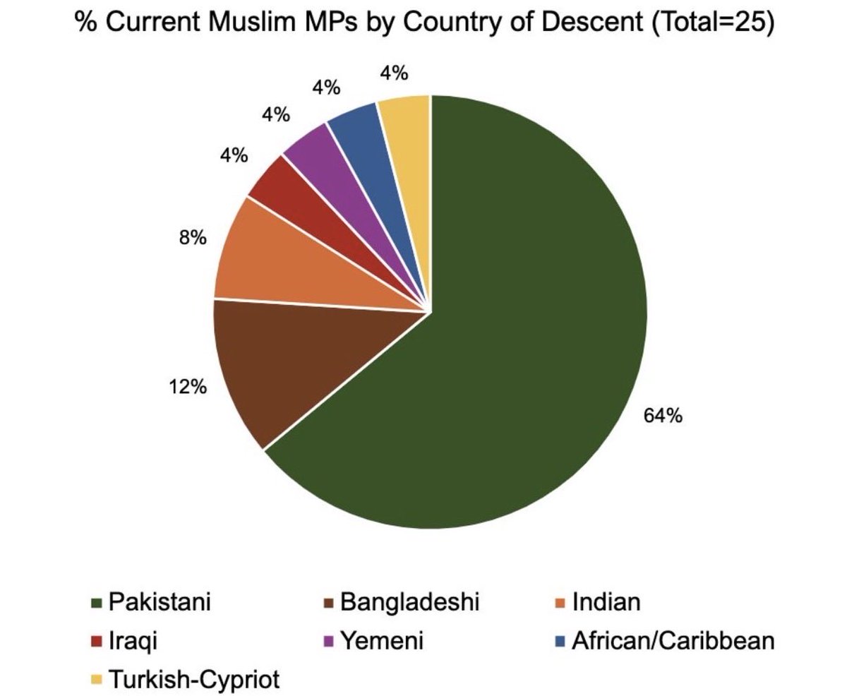 lucyjaynewhite1's tweet photo. There are currently 25 Muslim MPs in the UK Parliament.

16 of these are from Pakistan (64% of the total).

I was cancelled for saying this and I’ll continue to say it until we ban political Islam:  

NO PAKISTANIS IN UK PARLIAMENT. https://t.co/6YF4bx4Kom