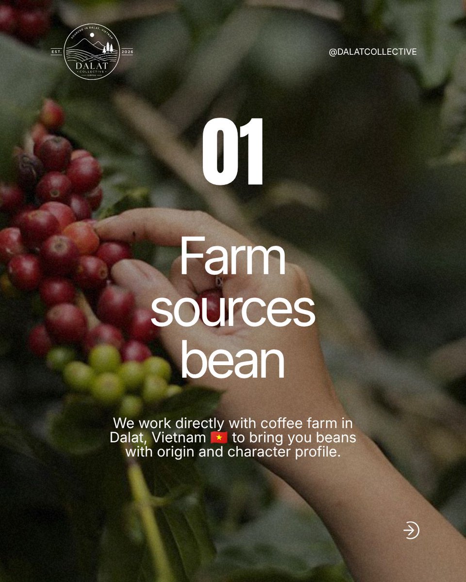 DalatCollective's tweet photo. Wondering what makes our beans special? ☕️
It’s more than just great coffee. It’s the care behind every bean—from the highlands of Vietnam to the final roast.
#DalatCollective #SpecialtyCoffee #VietnamCoffee #CoffeeBeans #CoffeeLovers #CoffeeRoastery #DalatCoffee #ArabicaCoffee https://t.co/fOQvZOgX2a