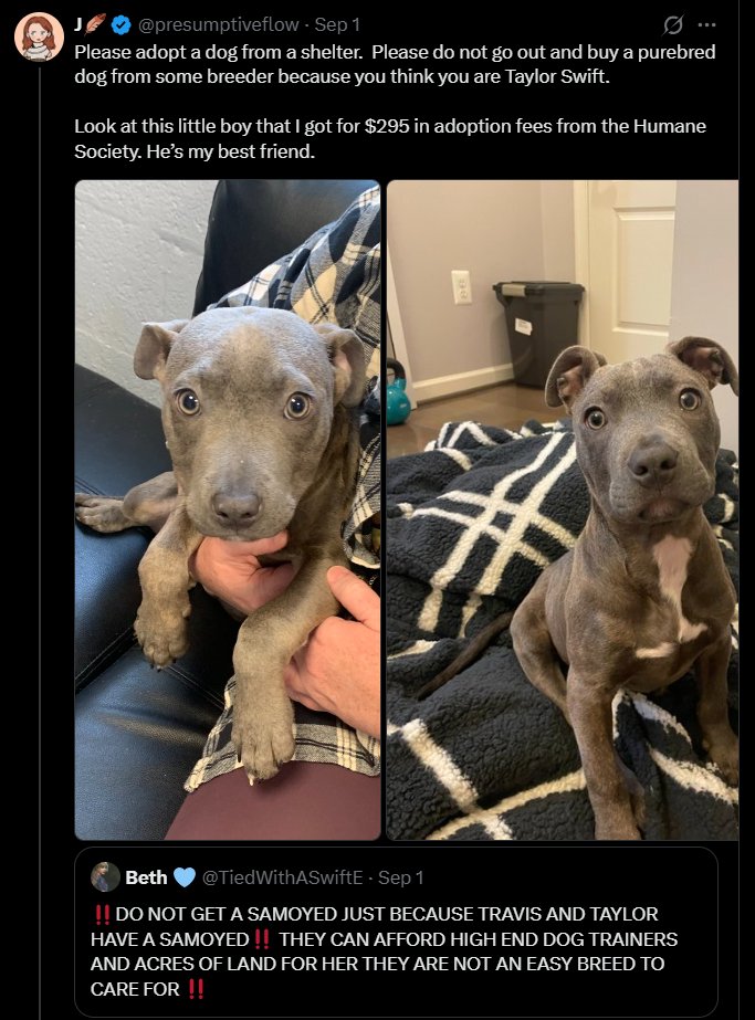 gloriousprey's tweet photo. PAYING 300 US DOLLARS FOR A PIT BULL PUPPY https://t.co/RXFrNssOFk