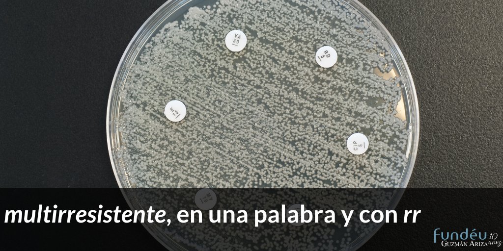 FundeuGa tweet picture