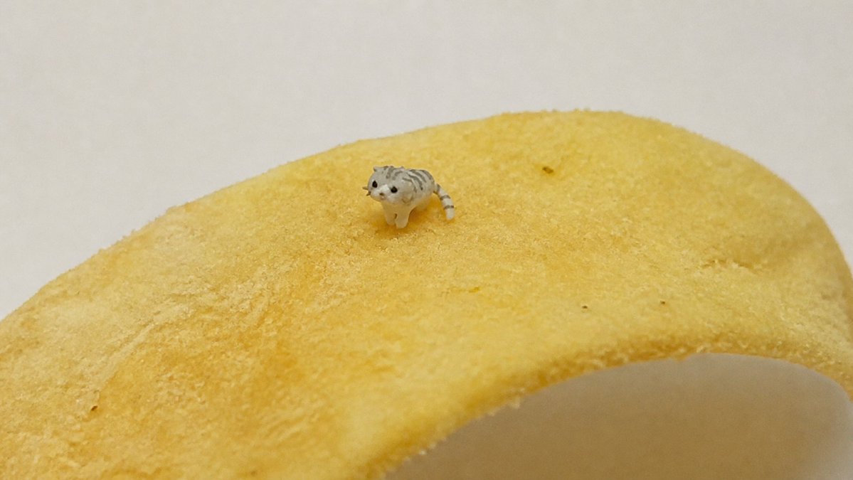 MicrocatMU's tweet photo. The AI bottle neck is solved by chips at the microscopic level https://t.co/KsfXsEQjsH
