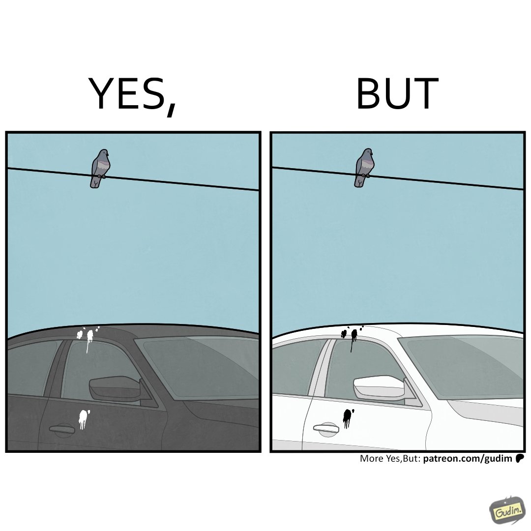_yesbut_'s tweet photo. https://t.co/Ry0R4569CB