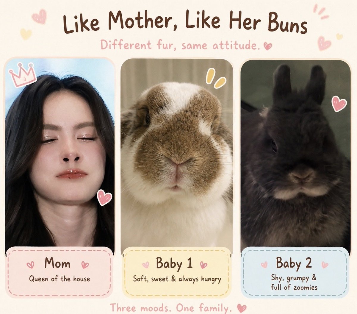 cc_englotlover's tweet photo. 🐰🤏

PRECIOUS TIME CHARLOTTE02
#ชาล็อตออสติน #CharlotteAustin
@itscharlotty https://t.co/90zvRsYwsH