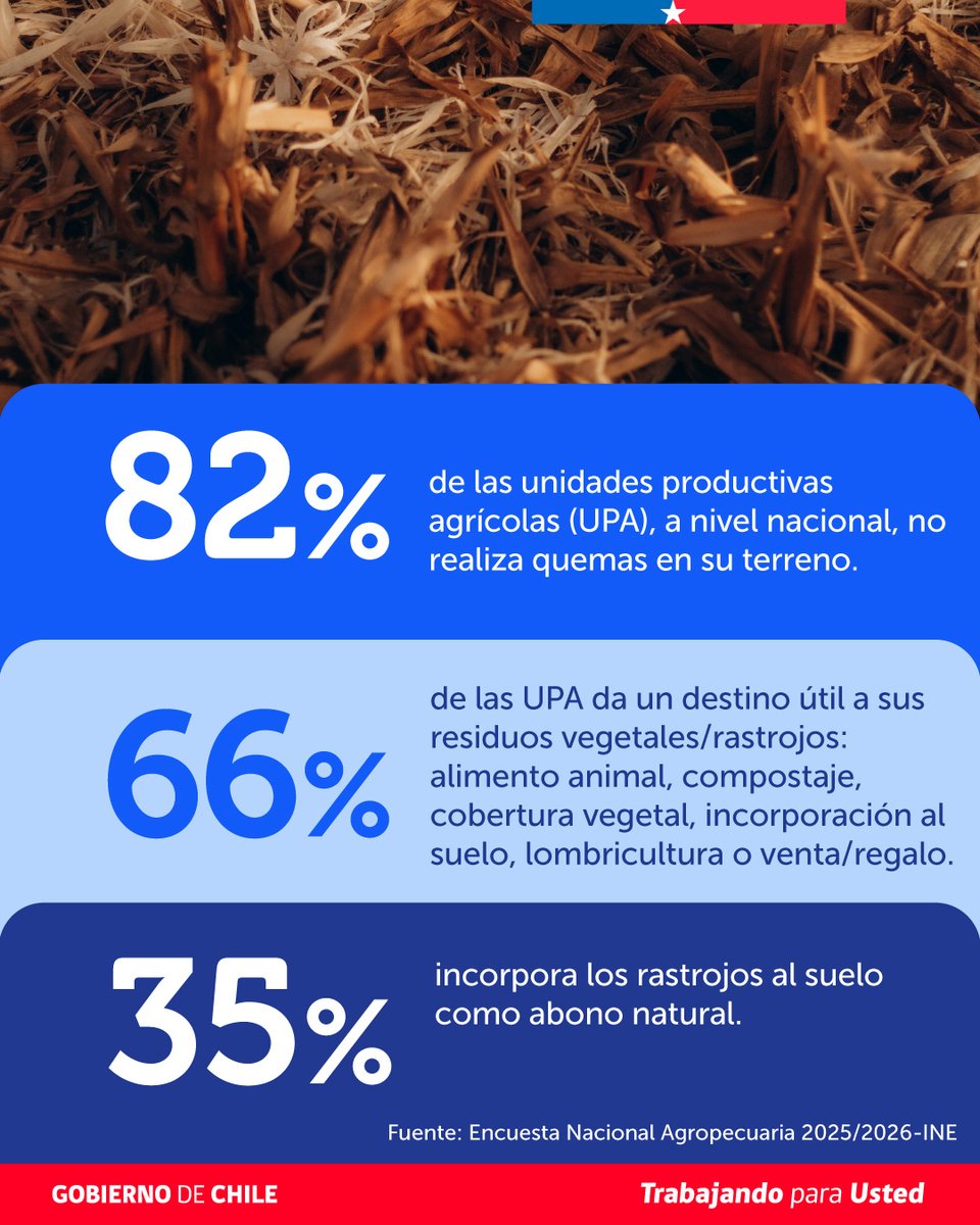 ODEPA's tweet photo. 📣Ya se encuentran disponibles los primeros resultados de la Encuesta Nacional Agropecuaria

👉🏽Revisa los resultados en https://t.co/vYjxXOuRQj o en https://t.co/0039tlfmTa https://t.co/p6rXDv2pHX