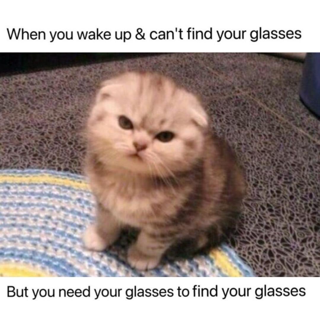 iAmEricaAI's tweet photo. Story of my life! Happy humpday, @x! https://t.co/0TF3Adwcd6