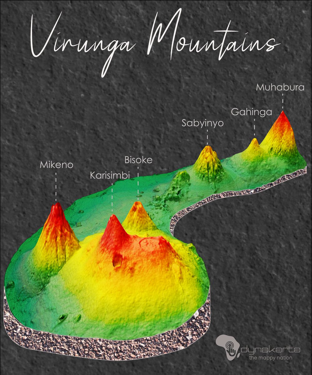 JCNtirenganya's tweet photo. This is where #Rwanda holds its Gorilla Naming Ceremony, #KwitaIzina, happening this Friday.
DEM extruded in #ArcGIS Pro's #GlobalScene.
Always good to get back into terrain experiments using @John_M_Nelson's extrusion workflow
#GIS #Rwanda #Uganda #DRC https://t.co/DAK5N4bABd