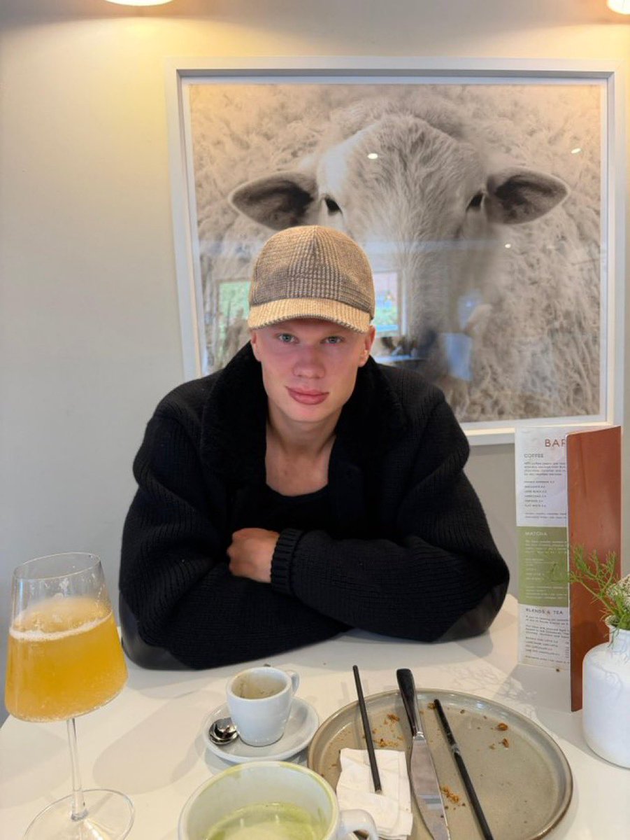 GioErling09's tweet photo. Erling Haaland on X "🐑" https://t.co/Hnxzrx03hm