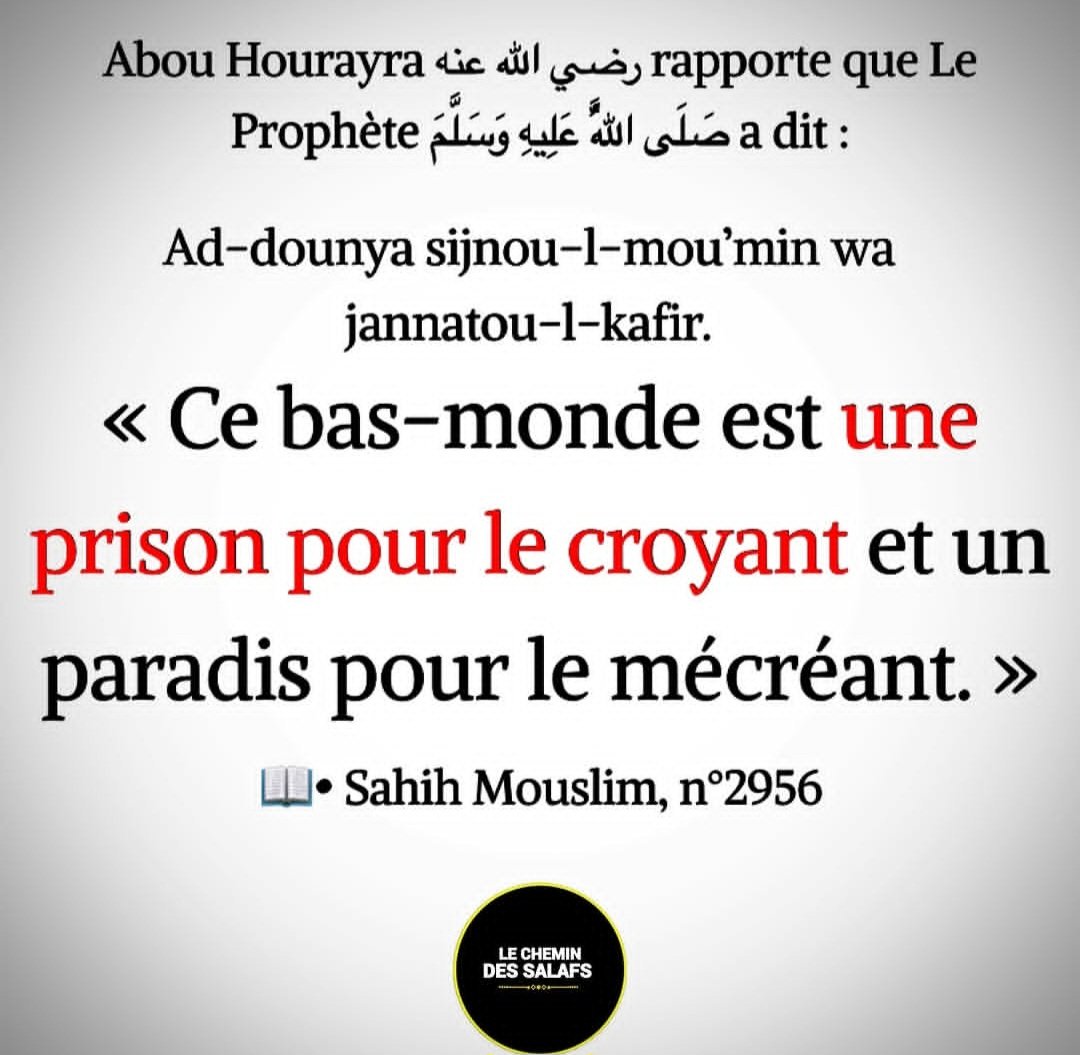 moussa_tawhid's tweet photo. 📌 https://t.co/rLS0gk3xFJ