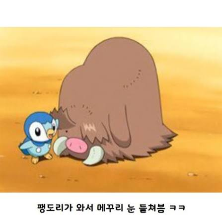 LeoPiKaprio's tweet photo. 메꾸리 눈 있는지 처음 알았네.. https://t.co/6iHJzHXDCS
