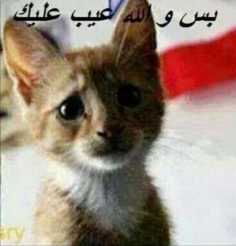 lld7v's tweet photo. @iih4u و يكتب لك EZ بالشات https://t.co/WQc8ocK07J