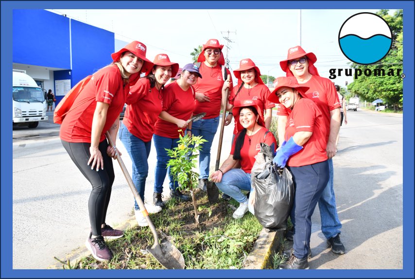 Guerra_Autrey's tweet photo. Una de las acciones a favor del medio ambiente que realizamos durante 2025, fue la reforestación y recuperación ambiental, cubriendo una extensión de 15 hectáreas en distintas zonas de Colima, incluyendo reforestación urbana en Manzanillo.@Grupomar https://t.co/AKAqpz06qv