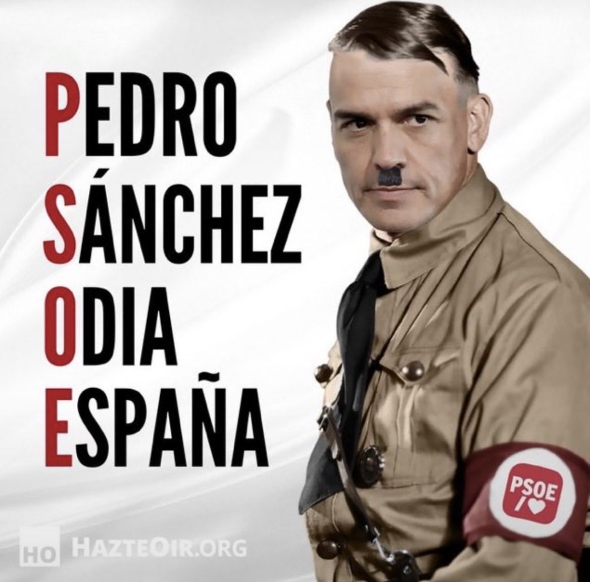 TheSting09's tweet photo. @o_deconstruido La HDLGP de @SIntxaurrondo aka Million Dollar Baby, a ful. Una activista de los corruptos y un insulto al periodismo.Esta gentuza debería ser juzgada algún día como cómplices de Frankito Saunas aka @sanchezcastejon y su banda #SanchezAPrisión @rtve https://t.co/dIfyudaSVa