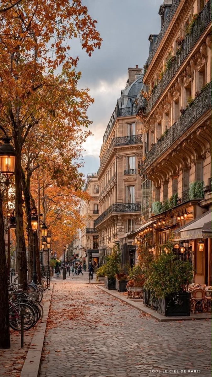 earthserenityy's tweet photo. Paris in Autumn https://t.co/Gsbu7JPwpa