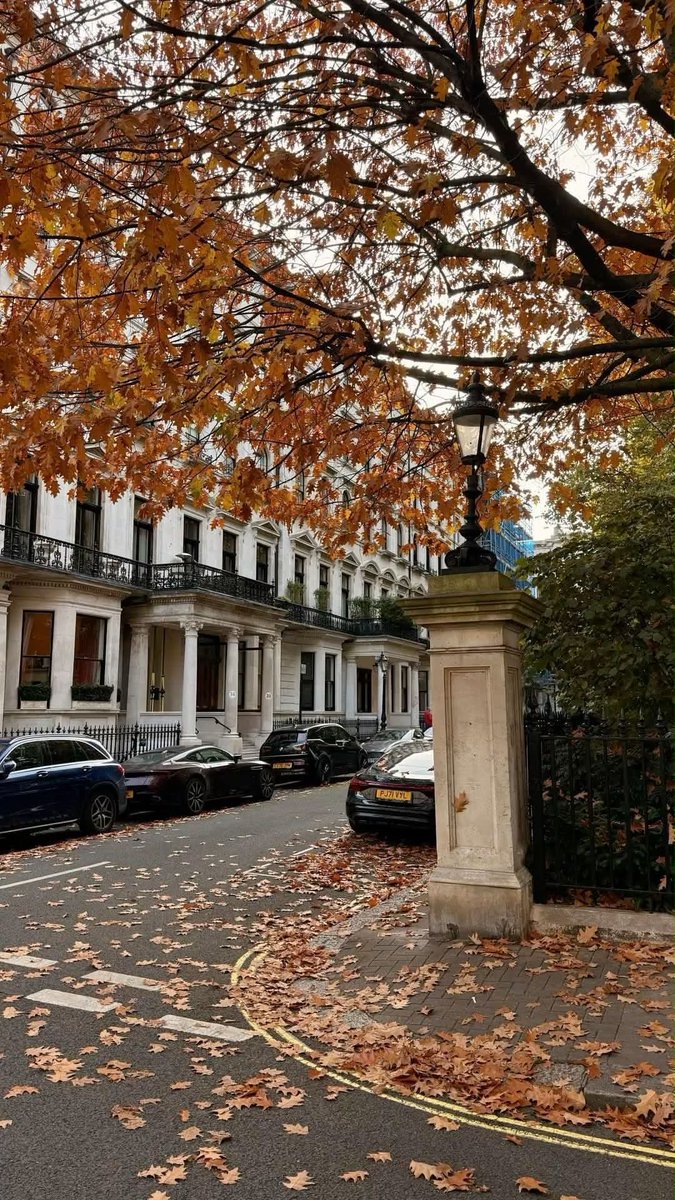 earthserenityy's tweet photo. Paris in Autumn https://t.co/Gsbu7JPwpa