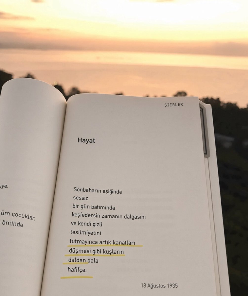 nabi_resuloglu's tweet photo. Antonia Pozzi. https://t.co/c6uqKvIw0f