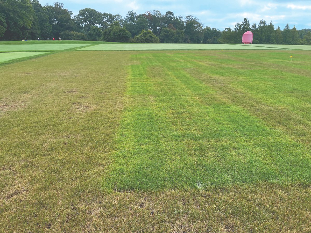 PBIGordonTurf's tweet photo. Weed Alert Wednesday… but make it fungal. Gray Leaf Spot isn't a weed, but it will wreck your turf. Watch for oblong gray-brown lesions in warm, humid weather. Control it with Tekken® Broad Spectrum Fungicide. https://t.co/DAmy9wOV4f