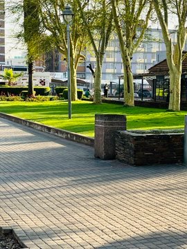 WorldofThabiso's tweet photo. Pretoria Station looks amazing beautiful thanks to Fighters @RamaboduObakeng MMC of Environment and Agricultural in the @CityTshwane. @EFFSouthAfrica deployees delivers

#VictoryorDeath #VoteEFF2026 https://t.co/w2od7cS7yV