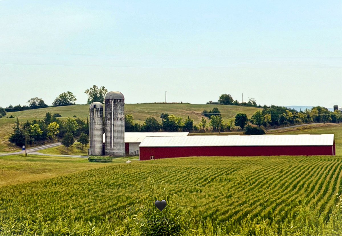 DAnnesEyes's tweet photo. #WhateverWednesday #EnjoyYourViews #nature #Farm https://t.co/Cre7sBycoS