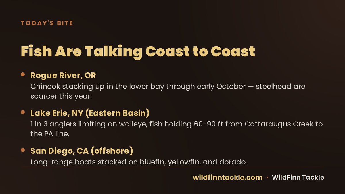 WildFinnTackle's tweet photo. Chinook are still stacking up in the lower Rogue Bay, walleye are stacking limits on Lake Erie's eastern basin, and San Diego's long-range boats are into bluefin, yellowfin, and dorado. Coast to coast, the bite is on. 🎣  

Where's it hot for you this week?  I'll start: https://t.co/AzNDQAmBh0