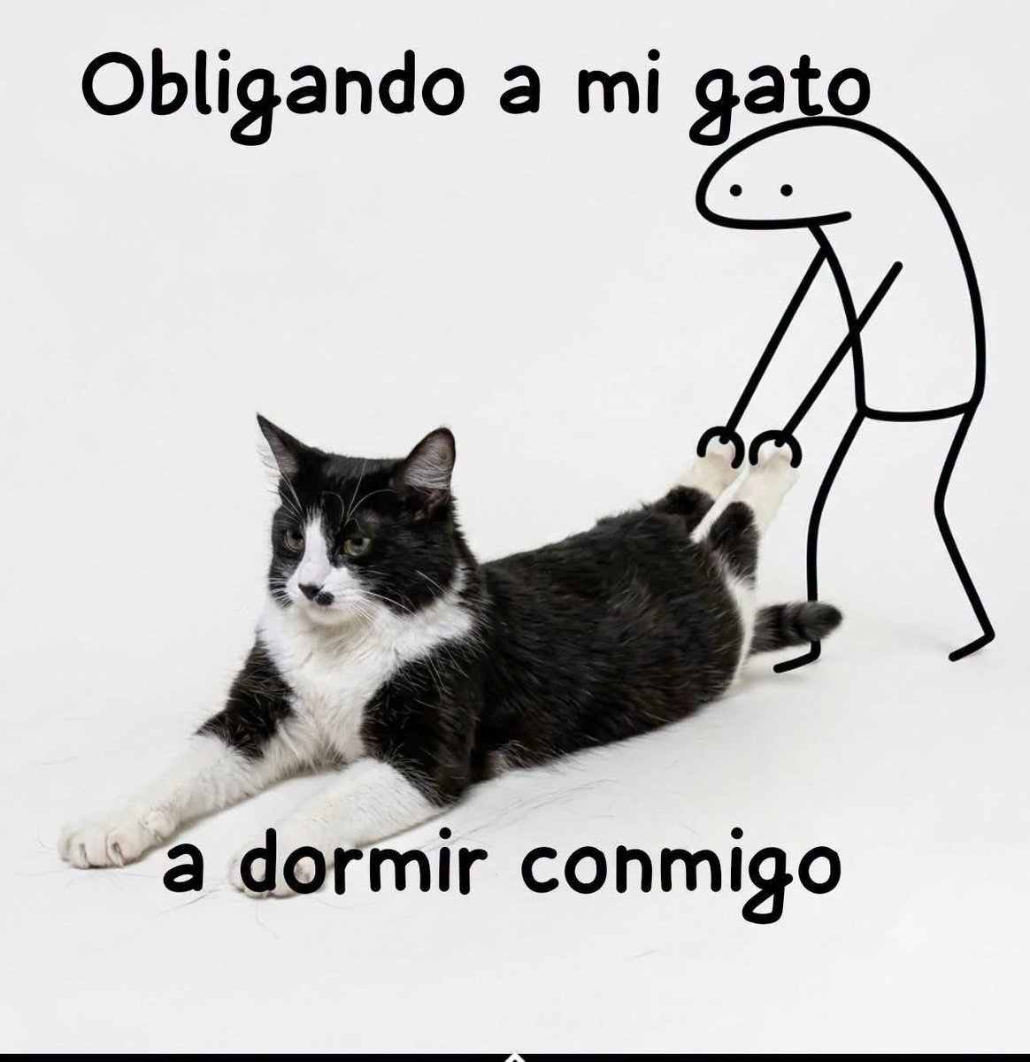 DiloConGatitoz's tweet photo. Cada noche.., https://t.co/ujsRa2TpUg