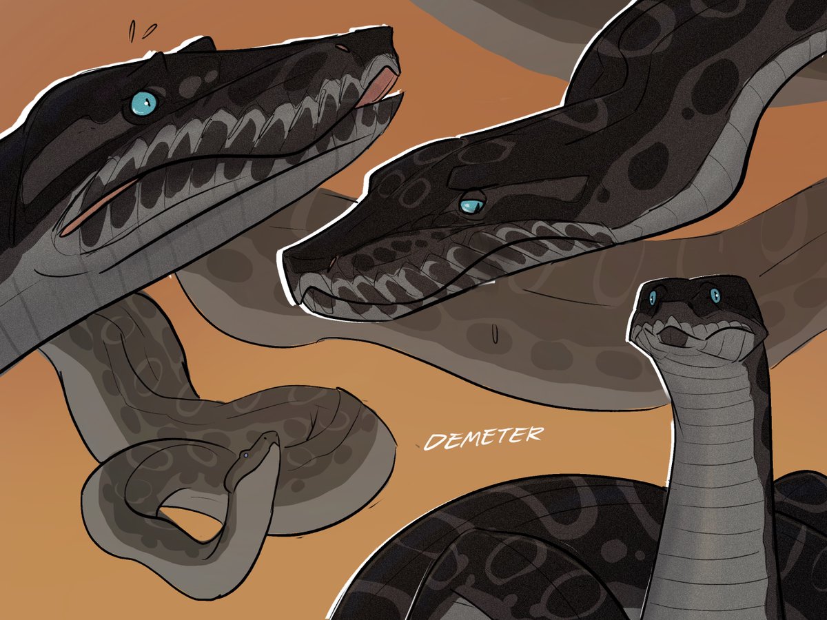 Spicynoodle_art's tweet photo. SNEKTEMBER IS HERE

#snektember https://t.co/qXERNeMMci
