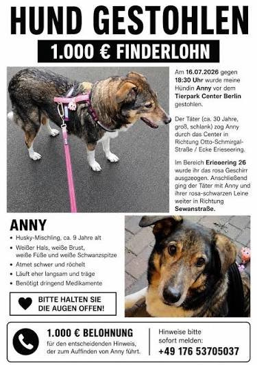 FrankJosefFisc1's tweet photo. Bitte nochmal deutschlandweit teilen!!! 
Anny muss gefunden werden ❤️💪🏼  1.000 € Belohnung für Hinweise zu Anny Für Hinweise, die dazu führen, dass  Anny wieder sicher nach Hause kommt, sind 1.000 € Belohnung https://t.co/wasOcgR7zd