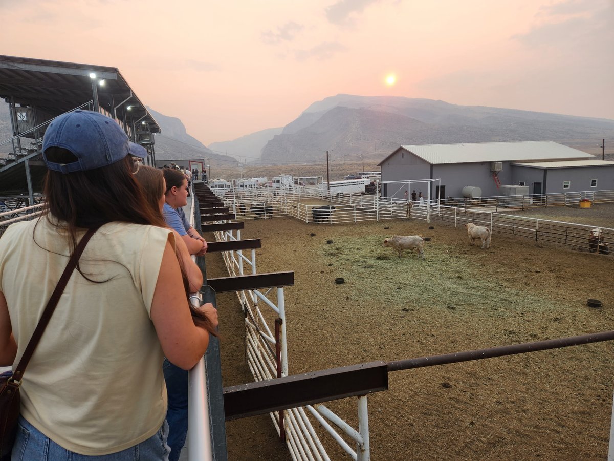 3CircleChurch's tweet photo. Regional Partner Spotlight // In Byron, Wyoming, the Reimink family has settled into their home, and are establishing themselves in the community. Work continues on the property. Beau has a weekly men's Bible study, and they host a growing home church on Sunday nights. https://t.co/KlmNjvhLE6