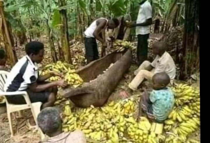 kagweto's tweet photo. Only legends can say this story https://t.co/XsP9zK1XOJ