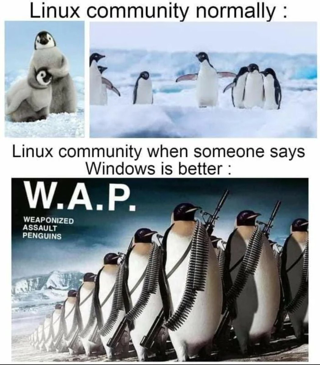 kingmax_codes's tweet photo. 100% Linux users😂😂 https://t.co/0pfx1bXy0h
