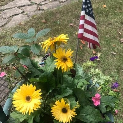 catherine796655's tweet photo. Nothing beats the simple beauty of a blooming garden and the Red, White, and Blue. God bless our beautiful home. 🇺🇸🌼 https://t.co/2NQwNN11JW