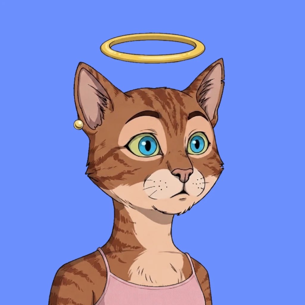 tovoo73's tweet photo. @Xeer You are talking about @BoredCatsLC right? https://t.co/rkHjsFX4YW