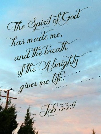 LoriAnnArt's tweet photo. @Maliparti4 we MUST STOP the STUPID Catholic #ProLife LIES
denying the TRUE "Gift Of Life IS the BREATH Of God" - Job33:4 we receive at BIRTH.
ProLife DENIES GOD & EASTER - what part of "GOD ABOLISHED DEATH"
escapes the understanding of lost Catholics & all who believe in ProLife LIES? https://t.co/qQKUmw61yo