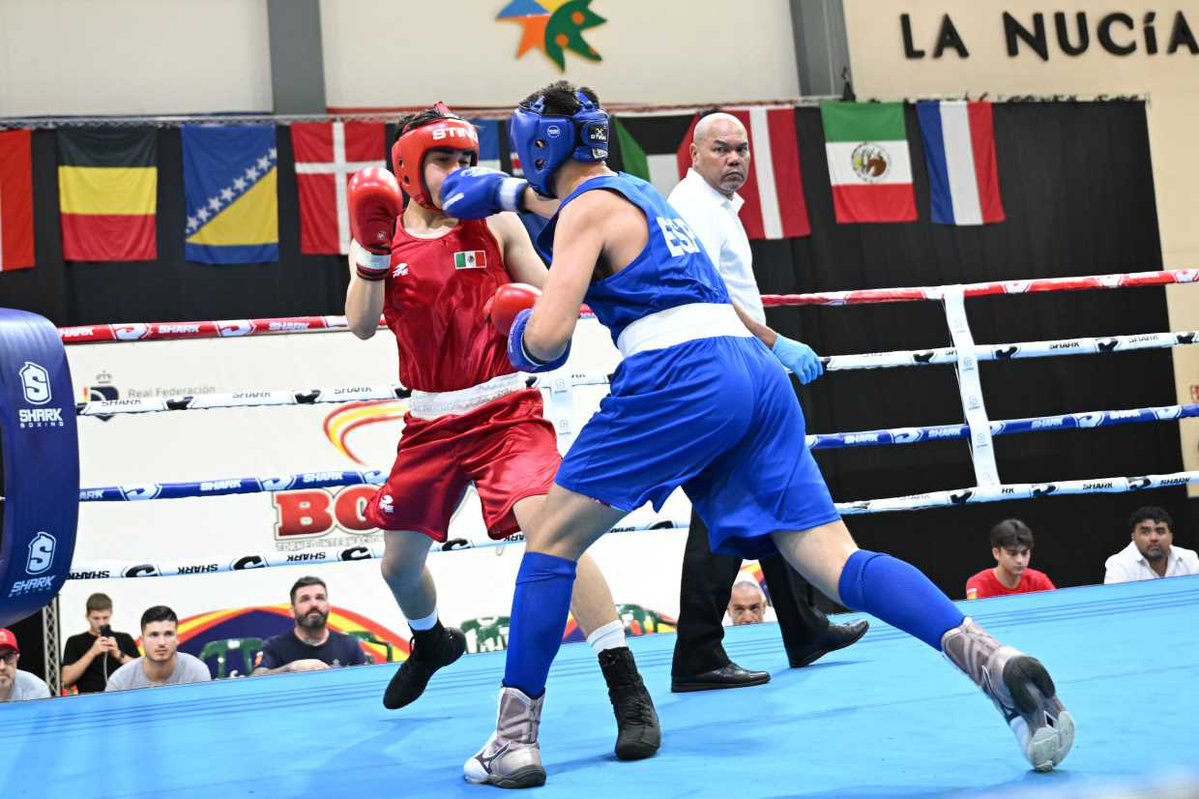 BernabeCanoES's tweet photo. 🥊🌍 Las promesas del boxeo mundial compiten en 🔥💪🏼El Boxam Internacional @LaNuciaES 2026 aue continúa esta tarde en el Pabellón Camilo Cano con 51 combates 🥊 y 250 jóvenes boxeadores de 21 países en categorías Sub 19, Sub 17 y Sub 15.

🔴📺 streaming:
https://t.co/RB5V7K4A9g https://t.co/3eqXmx1KnO