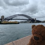 Photo by Codswallop T Bear OO8 🐻 - Parody (@CodsyBear)