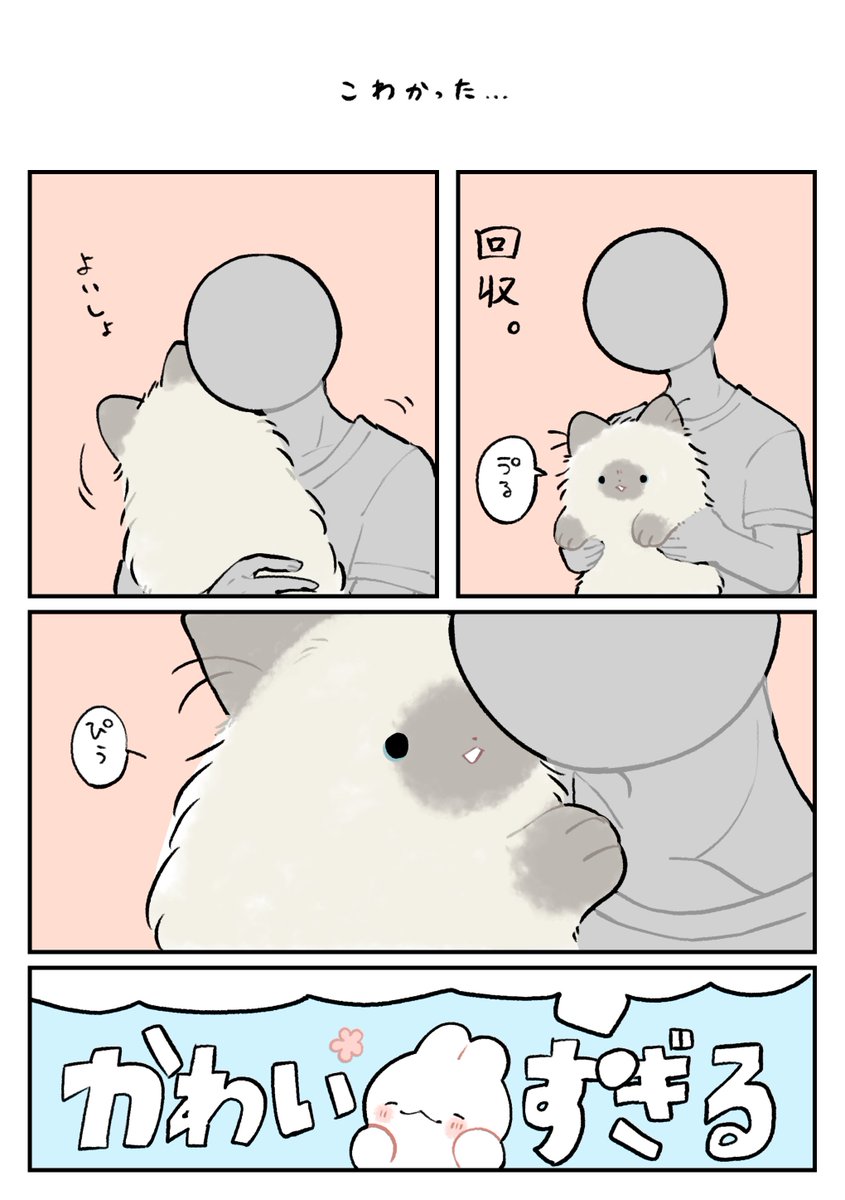 nasuka_gee's tweet photo. 本当は

#深夜のネコチャン
#漫画が読めるハッシュタグ https://t.co/4O11AilcDS