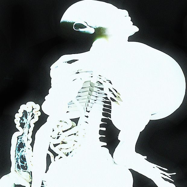 eclipsianaa's tweet photo. @ricelord888 Entranãs by Arca and  Arca by Arca https://t.co/IEqzeDECqR