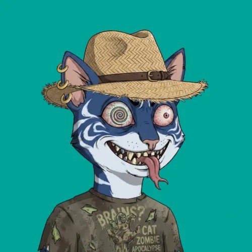 just_zazi's tweet photo. @Xeer Xeer definitely talking about us @BoredCatsLC https://t.co/2tguoRvosH