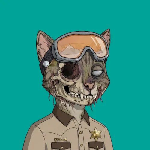 just_zazi's tweet photo. @Xeer Xeer definitely talking about us @BoredCatsLC https://t.co/2tguoRvosH