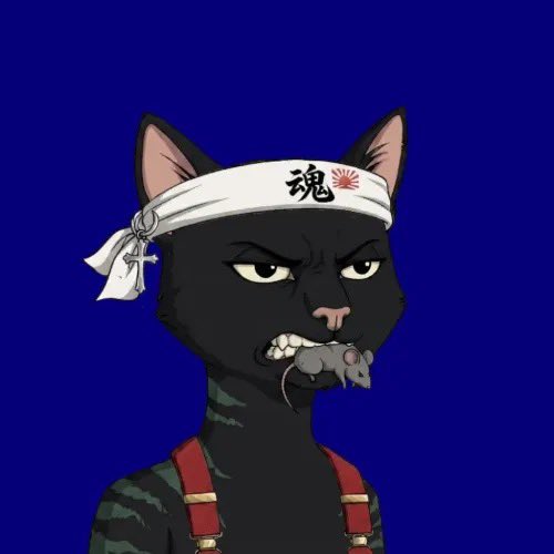 just_zazi's tweet photo. @Xeer Xeer definitely talking about us @BoredCatsLC https://t.co/2tguoRvosH