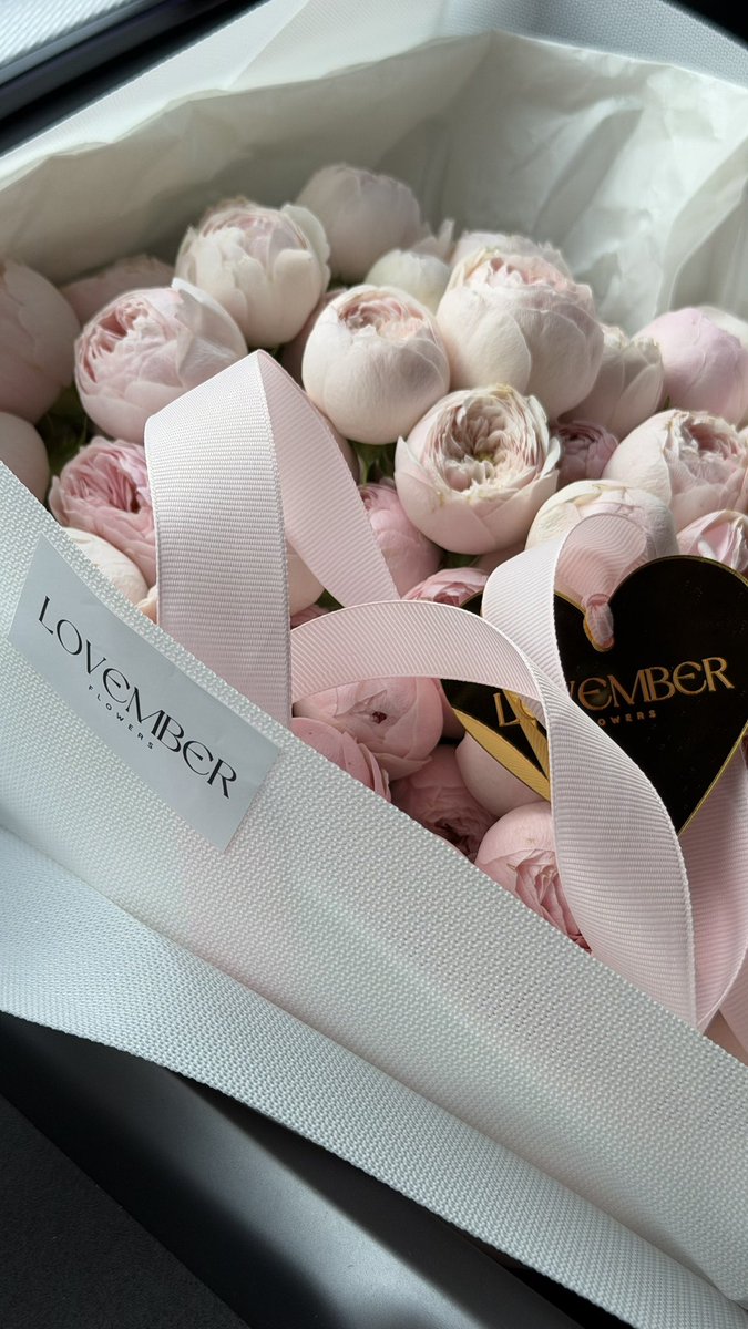 llE__Mll's tweet photo. 🌸💗💫 https://t.co/1sJ9hqrbjI
