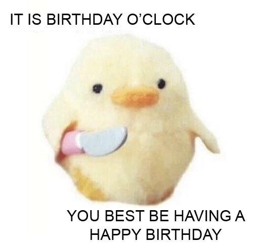 That_Guy_Jared's tweet photo. @fries1490015 Happy Birthday! https://t.co/qSXV55TisU