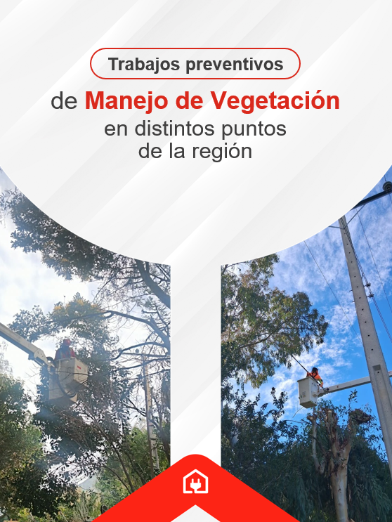 Chilquinta600's tweet photo. #ChilquintaInforma: Nuestros equipos técnicos realizan labores de manejo de vegetación en distintas comunas: #LlayLlay, #Quillota y #Quilpué; efectuando podas y despeje técnico en sectores próximos a la infraestructura eléctrica. https://t.co/mY1GBbGScN