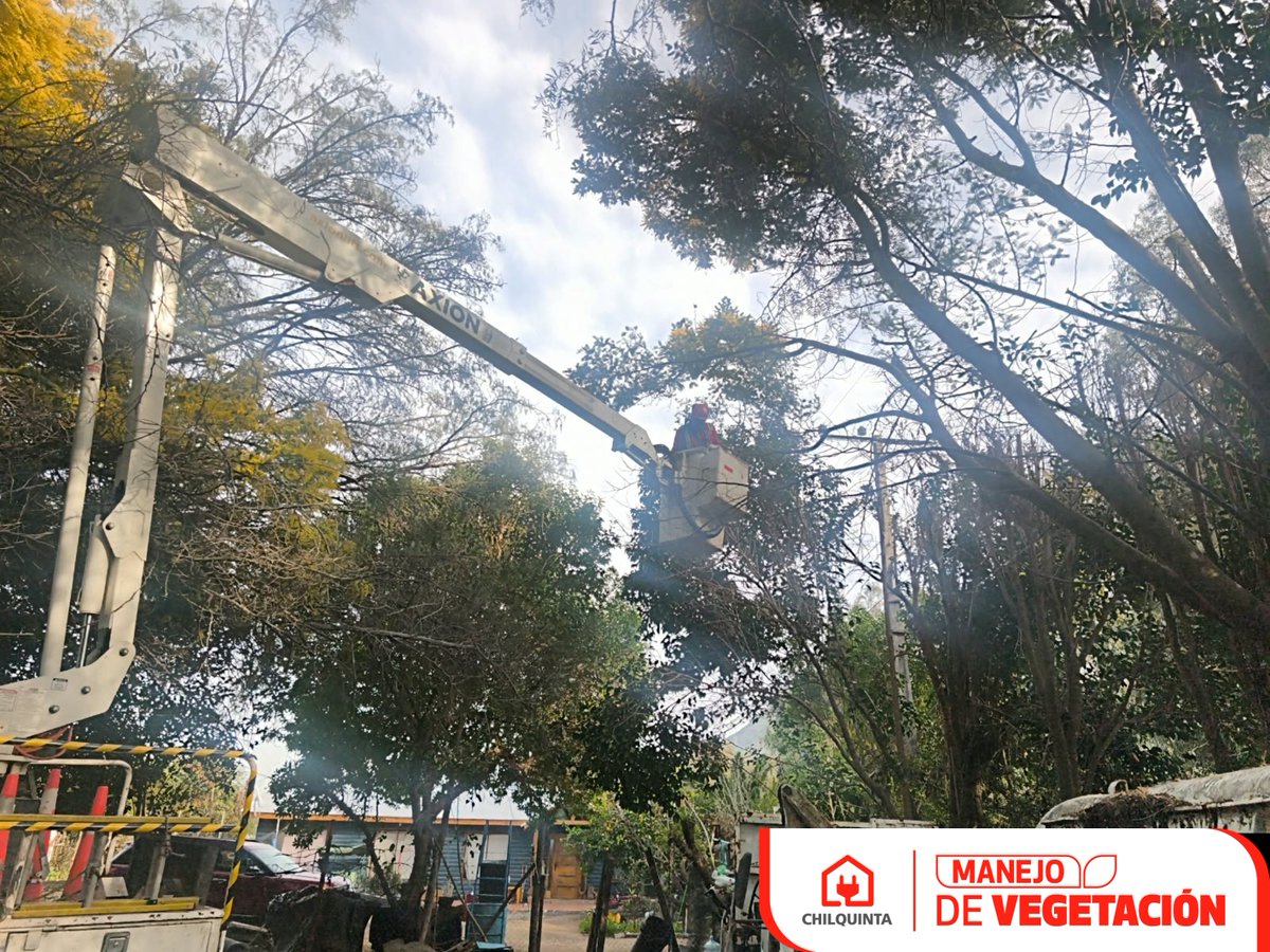 Chilquinta600's tweet photo. #ChilquintaInforma: Nuestros equipos técnicos realizan labores de manejo de vegetación en distintas comunas: #LlayLlay, #Quillota y #Quilpué; efectuando podas y despeje técnico en sectores próximos a la infraestructura eléctrica. https://t.co/mY1GBbGScN