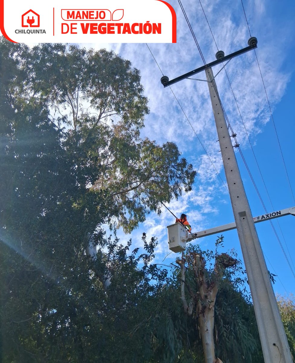 Chilquinta600's tweet photo. #ChilquintaInforma: Nuestros equipos técnicos realizan labores de manejo de vegetación en distintas comunas: #LlayLlay, #Quillota y #Quilpué; efectuando podas y despeje técnico en sectores próximos a la infraestructura eléctrica. https://t.co/mY1GBbGScN