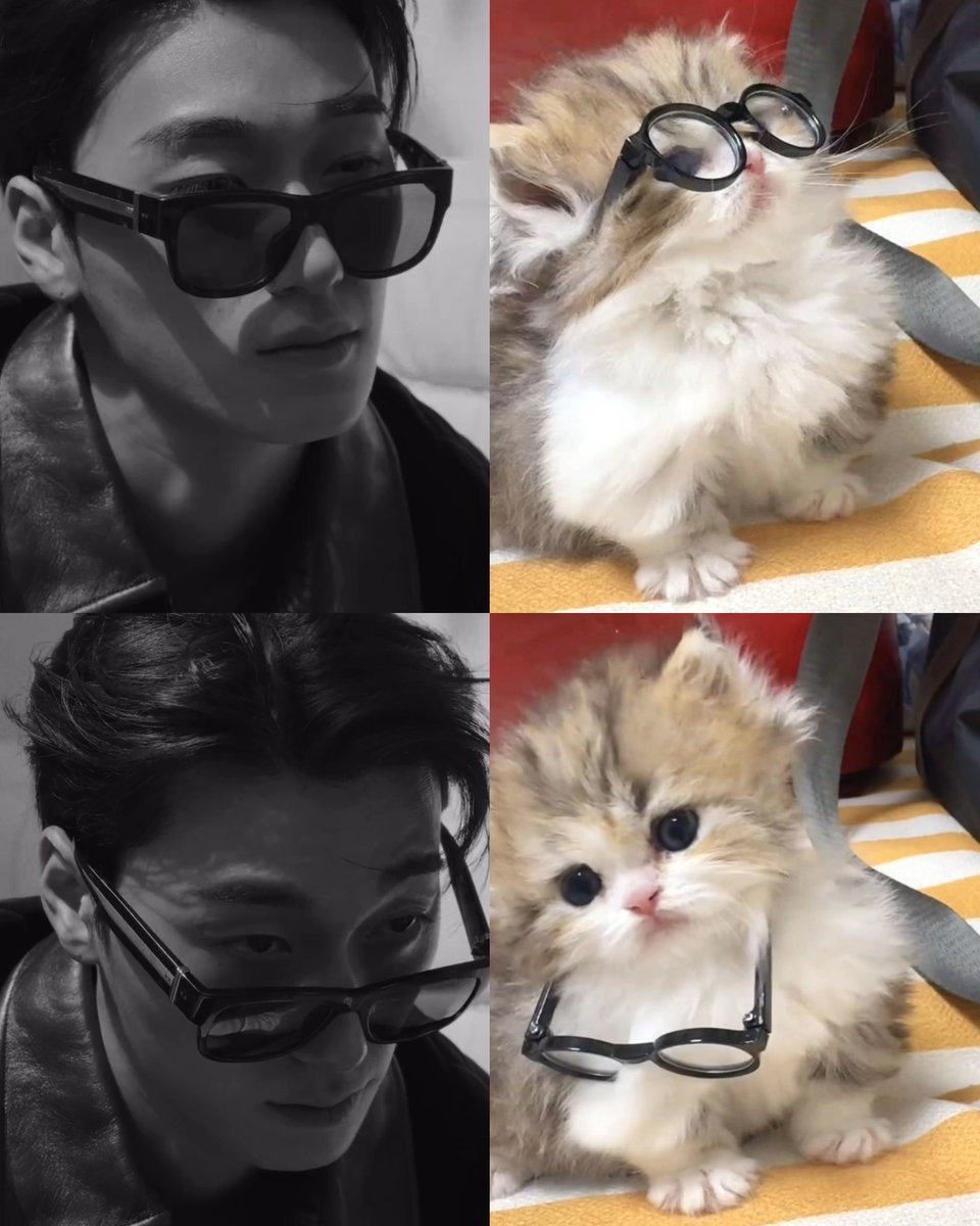 only_san0710's tweet photo. 🕶️ ⬪ https://t.co/ZTgaAJa6dx