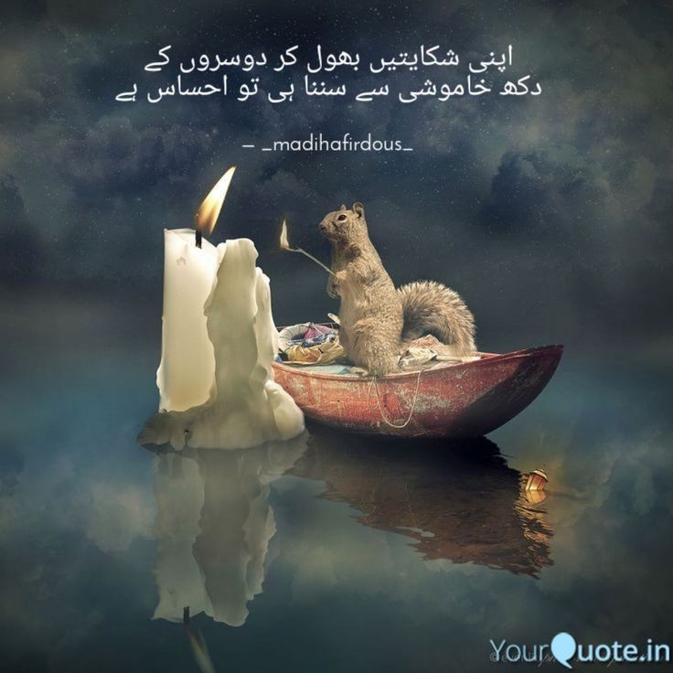 Noreen8syk's tweet photo. https://t.co/R0xiwrRobX